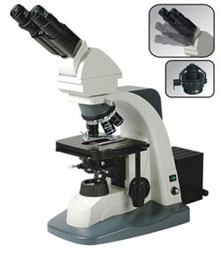 Research Microscope