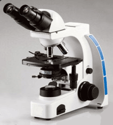 Microscope 