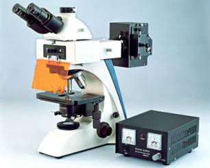 fluorescence Microscope
